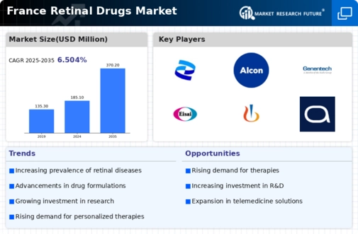 France Retinal Drugs Market Infographic