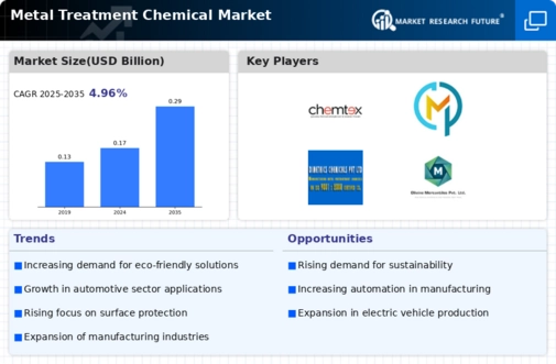 India Metal Treatment Chemical Market Infographic