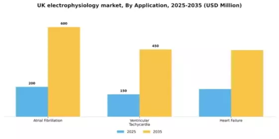 UK Electrophysiology Market Segment Image 0