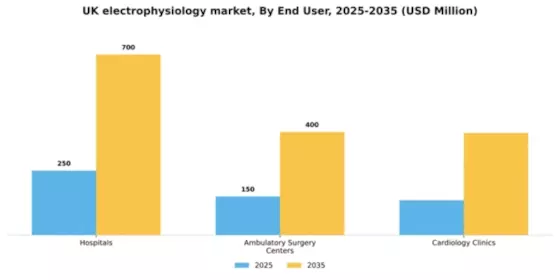UK Electrophysiology Market Segment Image 1