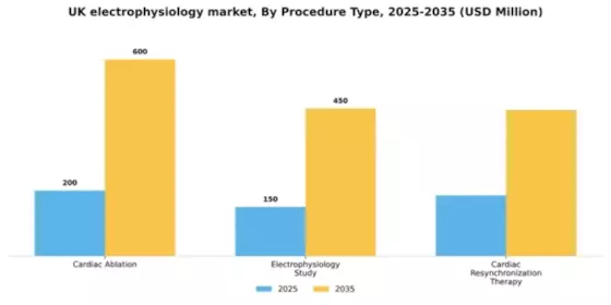 UK Electrophysiology Market Segment Image 2
