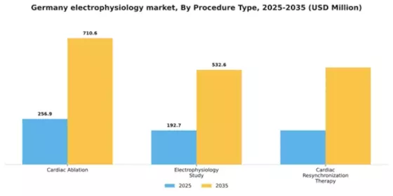 Germany Electrophysiology Market Segment Image 2