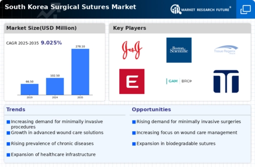 South Korea Surgical Sutures Market Infographic
