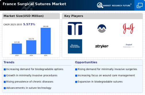 France Surgical Sutures Market Infographic