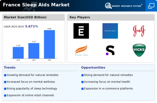 France Sleep Aids Market Infographic