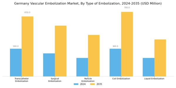 Germany Vascular Embolization Market Segment Image 1