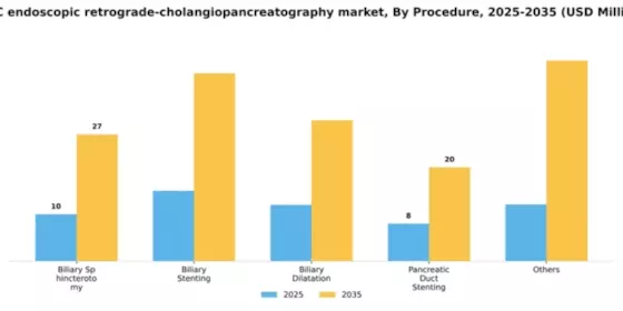GCC Endoscopic Retrograde Cholangiopancreatography Market Segment Image 2