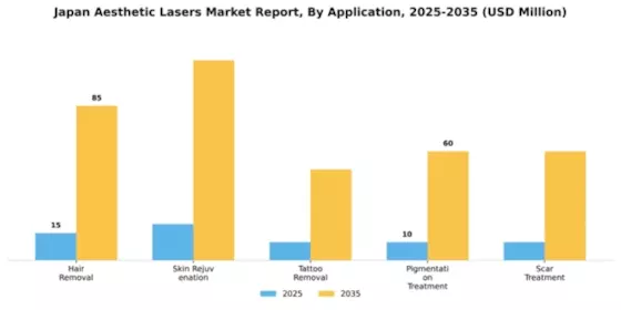 Japan Aesthetic Lasers Market Segment Image 0