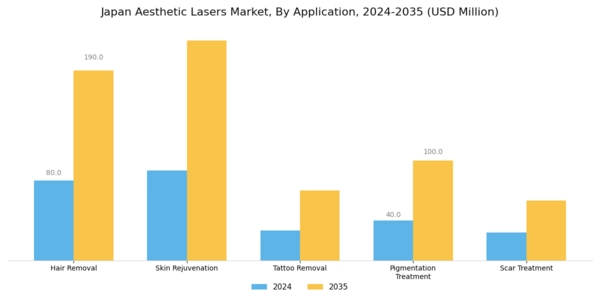 Japan Aesthetic Lasers Market Segment Image 0