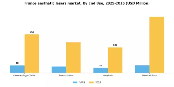 France Aesthetic Lasers Market Segment Image 1