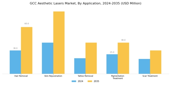 GCC Aesthetic Lasers Market Segment Image 0