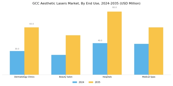 GCC Aesthetic Lasers Market Segment Image 2