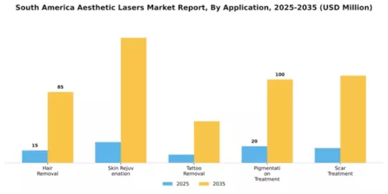 South America Aesthetic Lasers Market Segment Image 0