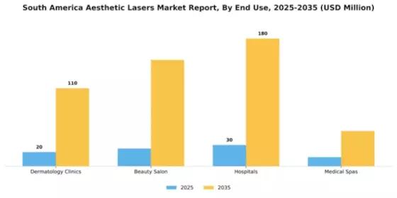 South America Aesthetic Lasers Market Segment Image 1