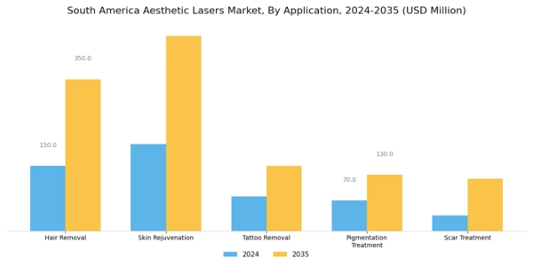 South America Aesthetic Lasers Market Segment Image 0