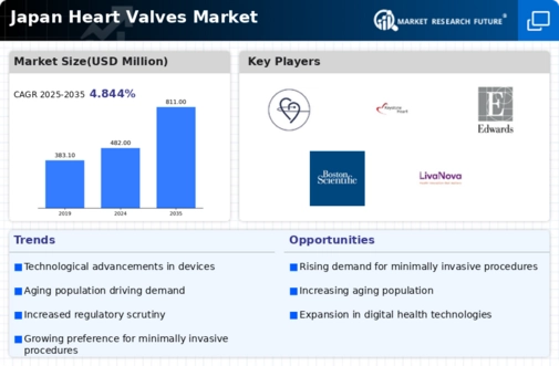 Japan Heart Valves Market Infographic