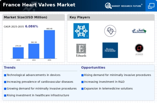 France Heart Valves Market Infographic