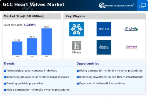 GCC Heart Valves Market Infographic