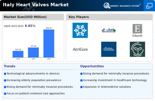 Italy Heart Valves Market Infographic