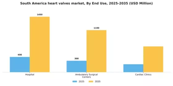 South America Heart Valves Market Segment Image 1