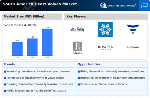 South America Heart Valves Market Infographic