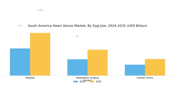 South America Heart Valves Market Segment Image 2
