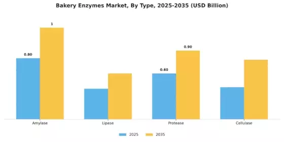 Bakery Enzymes Market Segment Image 3