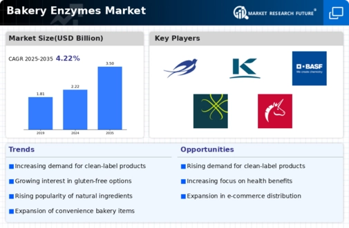 Bakery Enzymes Market Infographic