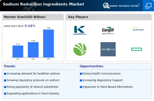 Sodium Reduction Ingredients Market Infographic