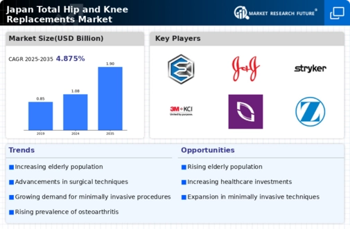 Japan Total Hip Knee Replacements Market Infographic