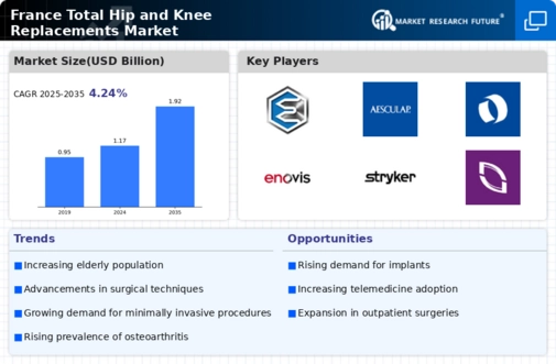 France Total Hip Knee Replacements Market Infographic