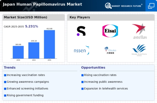 Japan Human Papilloma Virus Market Infographic