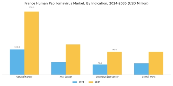 France Human Papilloma Virus Market Segment Image 1