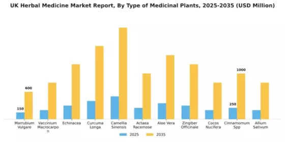 UK Herbal Medicine Market Segment Image 4