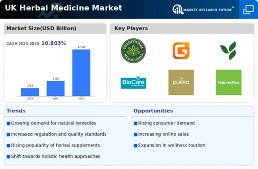 UK Herbal Medicine Market Infographic