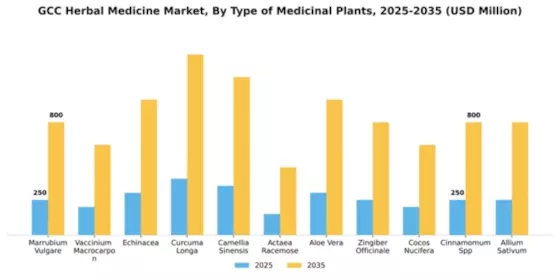 GCC Herbal Medicine Market Segment Image 4