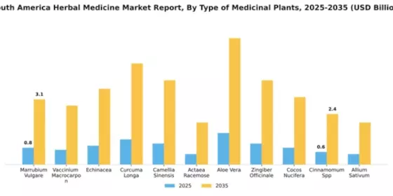 South America Herbal Medicine Market Segment Image 4