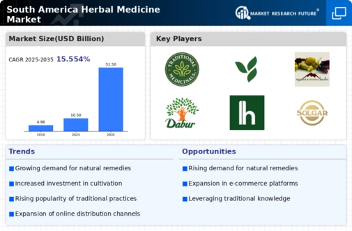 South America Herbal Medicine Market Infographic
