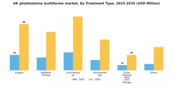 UK Glioblastoma Multiforme Market Segment Image 1