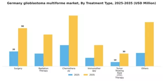 Germany Glioblastoma Multiforme Market Segment Image 1