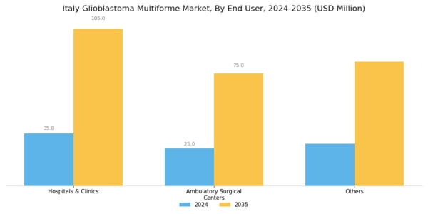 Italy Glioblastoma Multiforme Market Segment Image 1