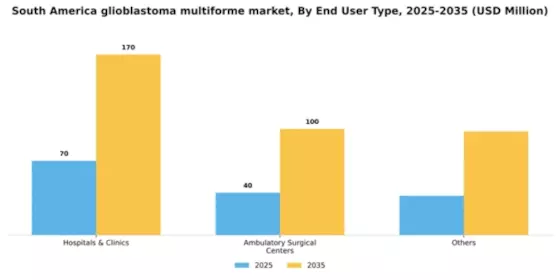 South America Glioblastoma Multiforme Market Segment Image 0