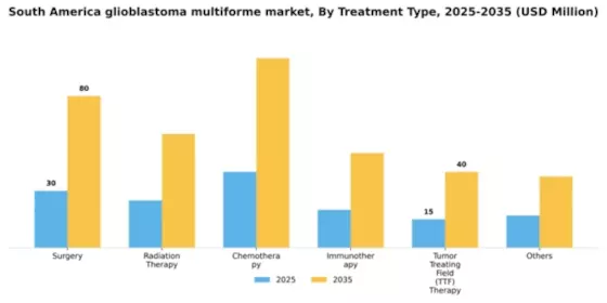 South America Glioblastoma Multiforme Market Segment Image 1