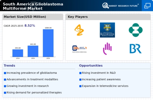 South America Glioblastoma Multiforme Market Infographic