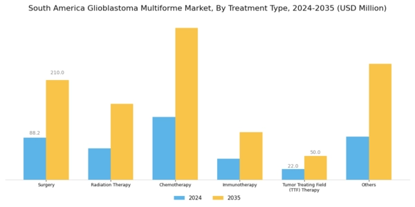 South America Glioblastoma Multiforme Market Segment Image 0