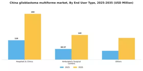 China Glioblastoma Multiforme Market Segment Image 0
