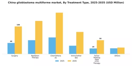 China Glioblastoma Multiforme Market Segment Image 1