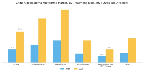 China Glioblastoma Multiforme Market Segment Image 0