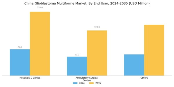 China Glioblastoma Multiforme Market Segment Image 1