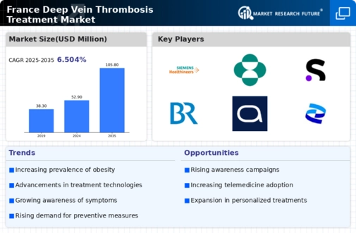 France Deep Vein Thrombosis Treatment Market Infographic